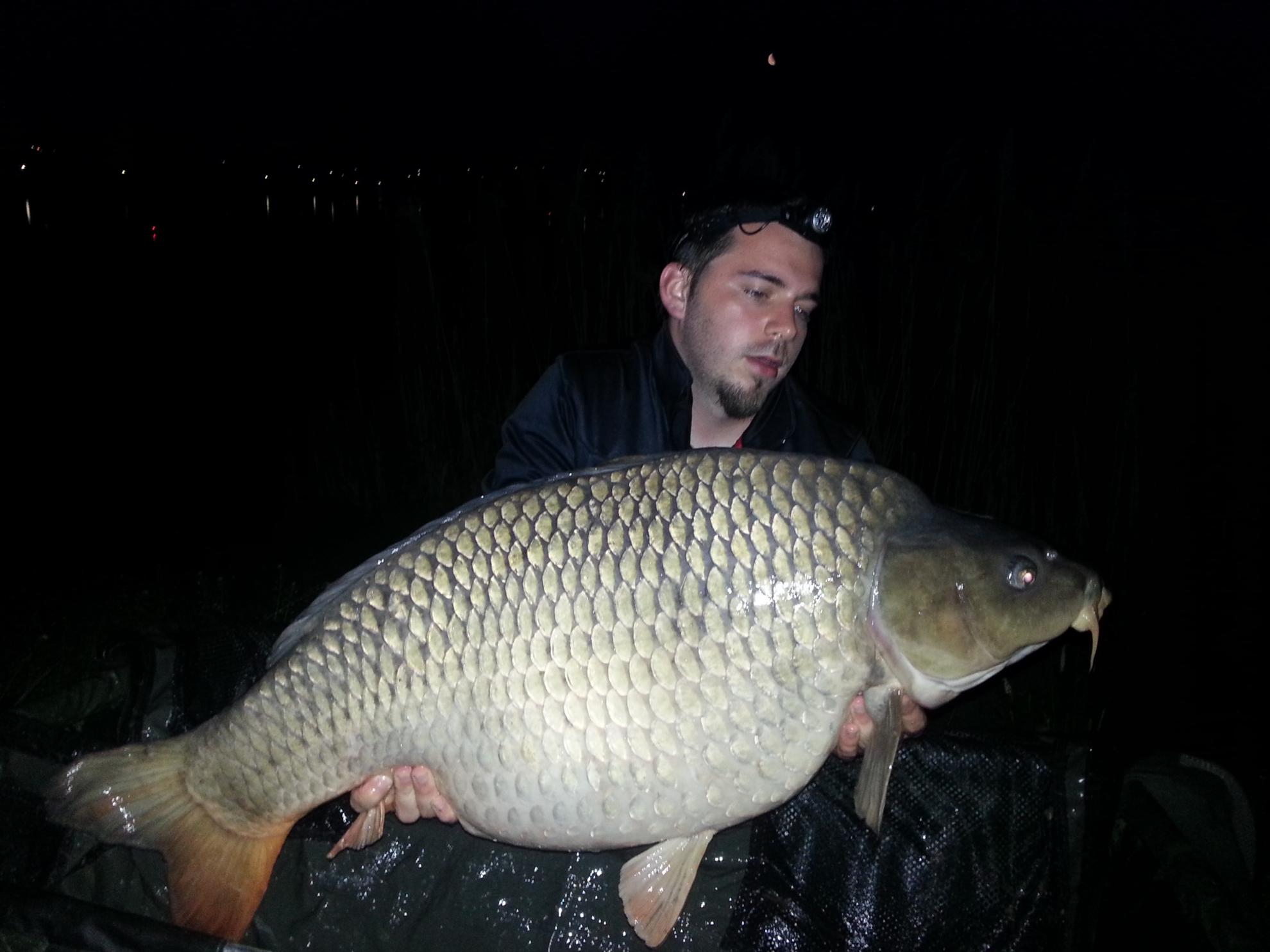 Harsany 1 - 5 mai. - 23 kg